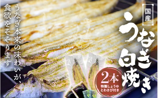 国産うなぎ白焼(2本) /  和歌山 田辺市 国産 国産うなぎ 国産鰻 うなぎ 鰻 鰻丼 うな丼 土用の丑の日 【ots019】