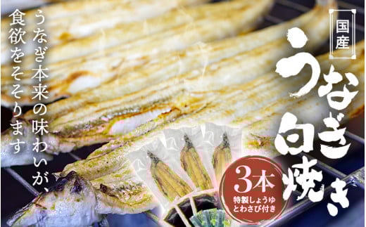 国産うなぎ白焼(3本) / 田辺市 国産 国産うなぎ 国産鰻 うなぎ 鰻 鰻丼 うな丼 土用の丑の日 【ots020】