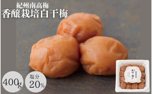 梅干し 香壌栽培の白干梅(塩分20%)400g / 田辺市 梅干し 梅干 梅 うめ 肉厚 お米 おにぎり おむすび 健康 うす塩味 塩分20% お弁当 白干 焼酎 紀州産[isg017-2]
