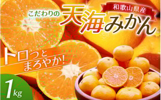 中山農園自慢 天海みかん 完熟宮川早生1kg [先行予約] / みかん 和歌山 ミカン フルーツ 果物 早生みかん 柑橘 田辺市 紀州田辺 甘い [nak004]