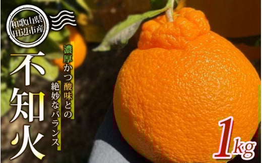 [先行予約]不知火1kg [贈答] ※2026年3月から順次発送予定 中山農園のこだわり不知火 / 和歌山県 しらぬい デコポン 家庭用 贈答用 フルーツ 果物 柑橘 田辺市 [nak014-1]