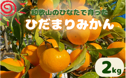[先行予約]日向屋 ひだまりみかん 2kg(箱込み) ※2025年12月頃に順次発送予定[期間限定・2025/12/25まで] / 温州みかん 田辺市 みかん 期間限定 先行予約 ミカン 和歌山 紀州[hnt014]