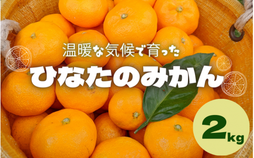 [先行予約]ひなたのみかん 2kg(箱込み) ※2025年12月頃に順次発送予定[期間限定・2025/12/25まで] / 温州みかん 田辺市 みかん 期間限定 先行予約 ミカン 和歌山 紀州[okm001]