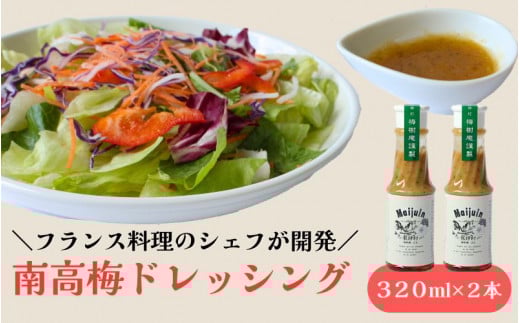 南高梅ドレッシング2本セット / 龍神村 野菜 サラダ 調味料 冷蔵 ギフト お取り寄せ 和歌山県 田辺市【mei001】