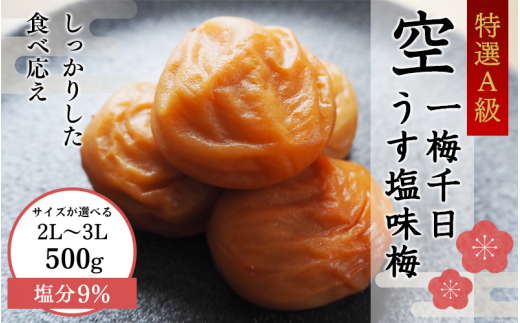 [サイズが選べる!]一梅千日うす塩味梅「空」塩分9% 2Lサイズ 500g / 和歌山 和歌山県産 紀州南高梅 南高梅 梅干し 梅干 梅 A級品 2Lサイズ 3Lサイズ うす塩 ご飯のお供[umm021-2L]