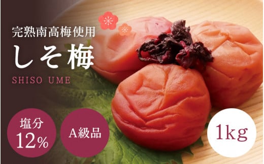 【A級品】紀州南高梅 しそ梅 1kg 塩分12% / 梅干し 梅干 うめぼし 南高梅 しそ梅 しそ梅干し シソ 紫蘇 国産 梅 うめ ウメ 完熟 健康 ご飯のお供 贈り物 ギフト プレゼント お取り寄せ せんのうめ 和歌山県 田辺市 仙宝【spo002-1】