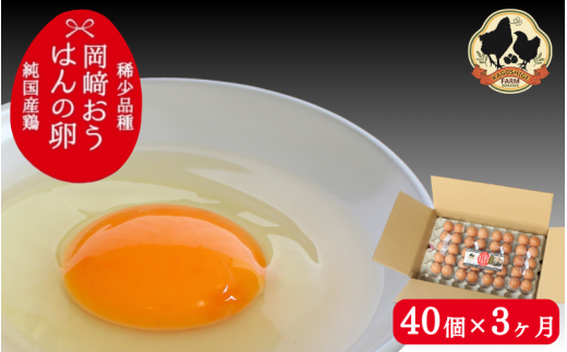 【3カ月定期便】希少品種 岡崎おうはんの卵 40個×3回【冷蔵配送】 / 田辺市 卵 たまご 有精卵 純国産鶏 鶏卵 平飼い お取り寄せ 卵かけごはん 和歌山県【kag010-tk】