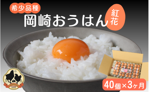 【3カ月定期便】希少品種 岡崎おうはん 紅花の卵 40個×3回【冷蔵配送】 / 田辺市 卵 たまご 有精卵 純国産鶏 鶏卵 平飼い お取り寄せ 卵かけごはん 和歌山県【kag011-tk】