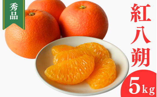 ＜先行予約＞紅八朔【秀品】5kg ※2026年2月中旬～3月中旬頃に順次発送予定【期間限定・数量限定】 / はっさく ハッサク 柑橘 季節限定 お取り寄せ 産地直送 贈答品 ギフト 果物 フルーツ 田辺市 和歌山県【ymh003-1】