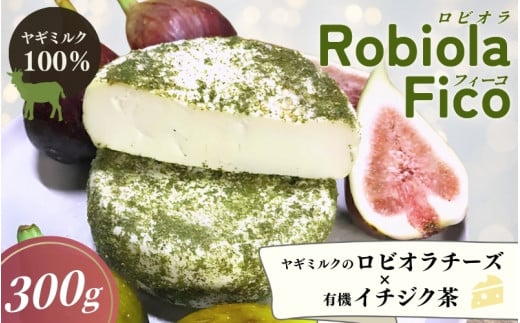 Robiola  Fico 1個(300g) / チーズ 山羊 ヤギ  和歌山県 田辺市【dal004】