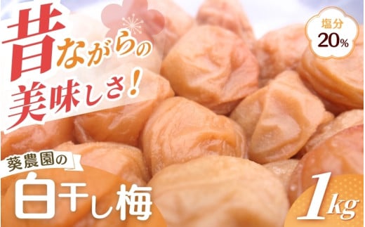 紀州南高梅 白干し南高梅干し 1kg 塩分20% 添加物不使用 / 梅 うめ ウメ  梅干し 梅干 白干し 南高梅 紀州南高梅 和歌山県 田辺市 【aoi014-2】
