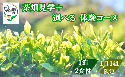 1日1組限定!! 茶畑見学+選べる体験コース 1泊2日朝夕食事付 お2人様招待券 / 和歌山  田辺市    お茶 体験 宿泊 茶畑 飲み比べ 食事付 ペア【ntc017】
