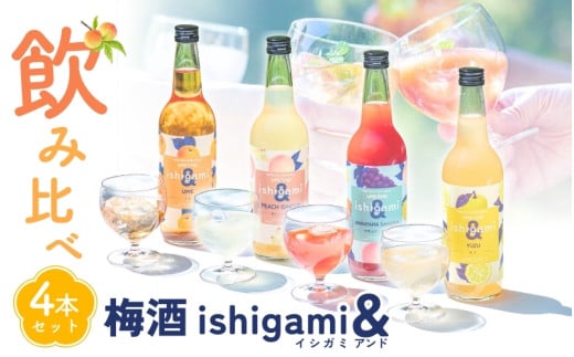 梅酒 ishigami&(イシガミアンド) 600ml×4本セット / 田辺市 梅干し 梅干 梅 うめ 梅ジュース 炭酸割り 紀州産 フルーツ【isg039-1】