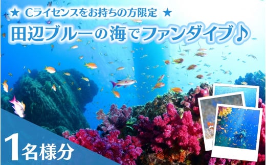 【和歌山 田辺・ファンダイブ/2ボート】大阪から2時間で叶う!田辺ブルーの海♪ 1名様 ★Cライセンスお持ちの方限定★ / ダイビング スキューバダイビング ファンダイビング マリンスポーツ 体験 旅行 観光 レジャー アウトドア サンゴ 熱帯魚 水中 癒し 【tds001-1】