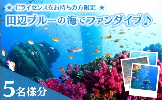 【和歌山 田辺・ファンダイブ/2ボート】大阪から2時間で叶う!田辺ブルーの海♪ 5名様 ★Cライセンスお持ちの方限定★ / ダイビング スキューバダイビング ファンダイビング マリンスポーツ 体験 旅行 観光 レジャー アウトドア サンゴ 熱帯魚 水中 癒し 【tds001-5】