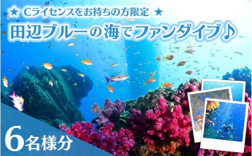 【和歌山 田辺・ファンダイブ/2ボート】大阪から2時間で叶う!田辺ブルーの海♪ 6名様 ★Cライセンスお持ちの方限定★ / ダイビング スキューバダイビング ファンダイビング マリンスポーツ 体験 旅行 観光 レジャー アウトドア サンゴ 熱帯魚 水中 癒し 【tds001-6】