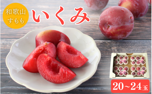 ＜先行予約＞すもも（いくみ）4パック ※2026年6月上旬～6月中旬頃に順次発送予定【期間限定・数量限定】 / スモモ プラム 冷蔵 季節限定 お取り寄せ 産地直送 贈答品 ギフト 果物 フルーツ 田辺市 和歌山県【ymh009-1】