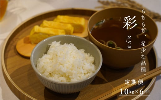 【令和7年産先行受付】長谷川農園彩10kg(6回コース)【定期便】