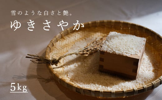 【北海道 農家直送】長谷川農園 ゆきさやか 令和7年産新米 5kg