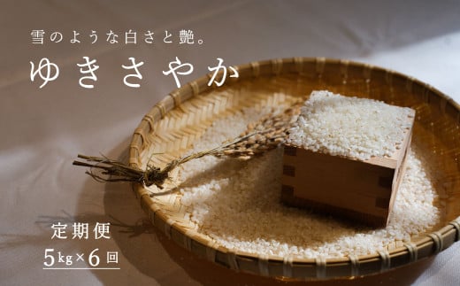 【北海道 農家直送 定期便】長谷川農園 ゆきさやか 令和7年産新米 5kg×6回コース