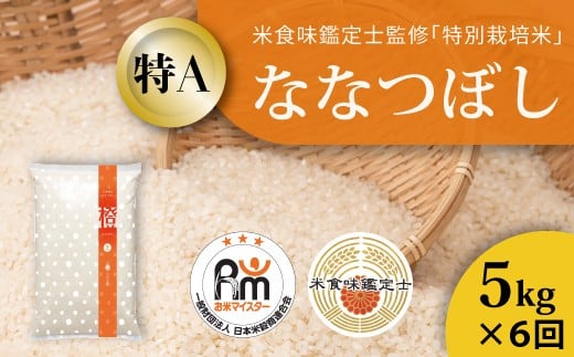 【北海道 農家直送!米食味鑑定士 三ツ星お米マイスター 栽培 監修 定期便】舟山農産 特別栽培米ななつぼし 令和7年産新米 5kg×6回コース