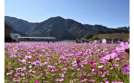 自然環境・生活環境の保全に関する事業