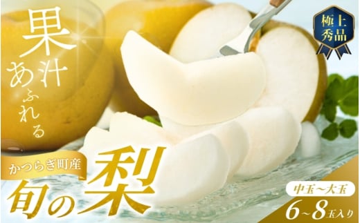 【先行予約】旬の梨(幸水ー豊水ーあきづき) 極上秀品(中玉~大玉)6~8個入り 2026年8月中旬~2026年9月中旬頃に順次発送予定(お届け日指定不可)/ 和歌山 梨 フルーツ 果物 くだもの【kgr015】