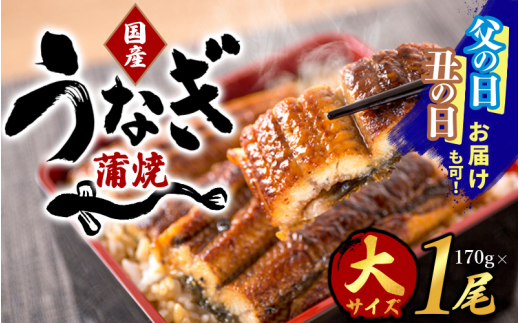 父の日[父の日までにお届け][大型サイズ]国産 大型サイズ ふっくら柔らか 国産うなぎ蒲焼き 1尾 約2人前 化粧箱入 先行予約 国産 うなぎ ウナギ 鰻 蒲焼 土用の丑の日 丑の日 [uot714-pp]