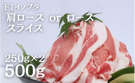 F1イノブタ　肩ロース or ロース　スライス （250ｇ×2パック）【sff141】