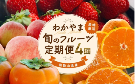 わかやま 旬の フルーツ 定期便[S] 全4回 ※北海道・沖縄・離島への配送不可 (配送日時指定不可)/ 有田みかん まりひめ いちご 桃 柿 [ard-tkb910]