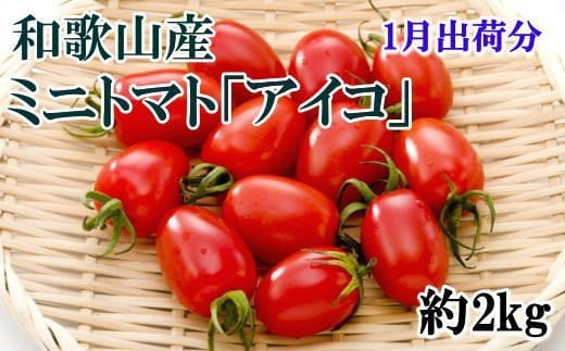 【1月出荷分】和歌山産ミニトマト「アイコトマト」約2kg(S・Mサイズおまかせ)【tec100A-1】