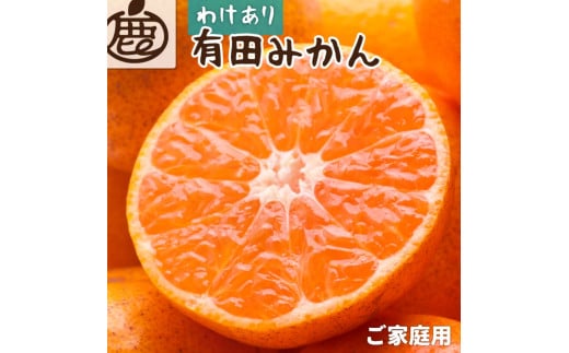 【先行予約】家庭用有田みかん サイズ混合(2S~2L) 5kg+250g  ※11月より発送 (完熟)【わけあり・訳あり】【光センサー選果】※北海道・沖縄・離島配送不可 / みかん くだもの フルーツ 柑橘 果物【ikd007C】