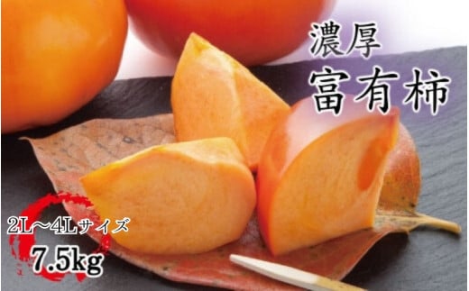 【秋の美味】【和歌山ブランド】濃厚!富有柿 秀品 2L~4Lサイズ(約7.5kg入り) ※2025年11月中旬頃~12月上旬頃順次発送予定 / かき 柿 カキ フルーツ くだもの 果物【ard014C】