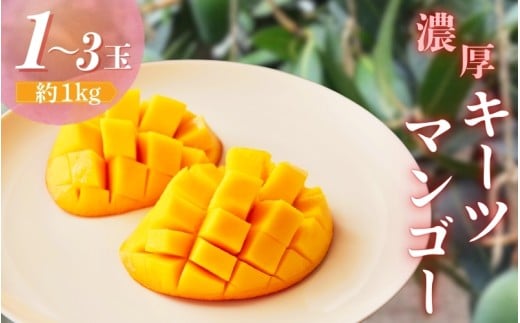 [希少マンゴー]濃厚キーツマンゴー 約1kg (1〜3玉) / フルーツ 果物 くだもの 和歌山 デザート まんごー キーツマンゴー[ard042B]