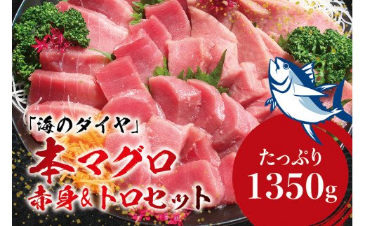 本マグロ(養殖)トロ&赤身セット 1350g 【11月発送】 高級 クロマグロ  中トロ 中とろ  まぐろ マグロ 鮪 刺身 赤身 柵 じゃばらまぐろ 本マグロ 本鮪 【nks111B-11】