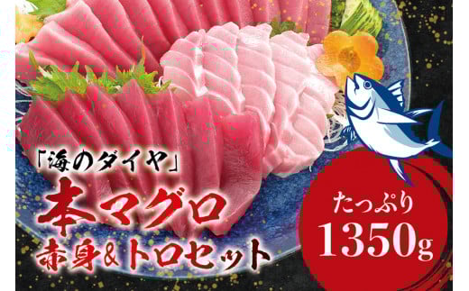 本マグロ(養殖)トロ&赤身セット 1350g 【1ヶ月以内に順次発送】 / 高級 クロマグロ 中トロ 中とろ  まぐろ マグロ 鮪 刺身 赤身 柵 じゃばらまぐろ 本マグロ 本鮪【nks111B】