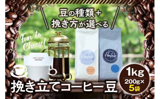 【細挽き】（ブレンド3+ホンジュラス2）挽き立てコーヒー豆 750gセットセット コーヒー豆 焙煎 コーヒー【hgo001A-a-06】