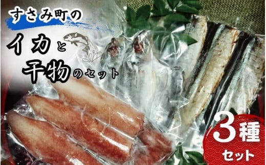すさみ町のイカと干物のセット(イカ×3~5枚 、干物×6枚【あじ開き×3 、さんまみりん干し×3 】)/ まぐろ 鮪 いか アジ 鯵 サンマ 秋刀魚  詰め合わせ【gyg214】