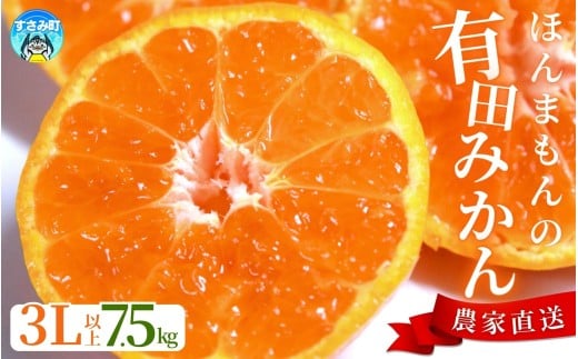 【農家直送】有田みかん  大玉3L以上 約7.5kg 有機質肥料100% ※2025年12月初旬~1月中旬に順次発送(お届け日指定不可) / みかん ミカン 温州みかん 柑橘 有田 和歌山 産地直送 【nuk158C】