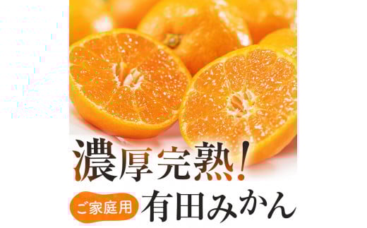 [先行予約][農家直送][和歌山県産]有田育ちのご家庭用完熟 有田みかん 10kg+200g(傷み補償分) [2S〜2Lサイズ混合][10月発送]※着日指定不可[2025年10月上旬〜10月下旬発送(11月発送)] ※北海道・沖縄・離島配送不可 / みかん 果物 フルーツ オレンジ 柑橘 和歌山 ありだみかん 有田 有田みかん[ard197D-10]