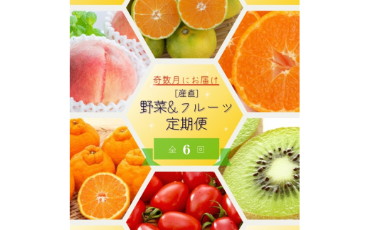 【全6回定期便】奇数月にお届け♪【産直】野菜&フルーツ定期便!キウイ・不知火・アイコトマト・桃・極早生みかん・有田みかん【tkb358】