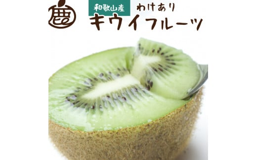 <11月より発送>家庭用キウイフルーツ2.5kg+250g(傷み補償分)【わけあり・訳あり・扁平果】 ※北海道・沖縄・離島への配送不可 / 和歌山 フルーツ 果物 キウイ キウイフルーツ おすすめ【ikd137C】