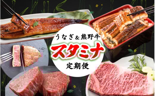 【全2回】－竹－ 国産うなぎ＆熊野牛 スタミナ定期便 / 定期便 鰻 牛肉 サーロイン シャトーブリアン ヒレ 蒲焼 蒲焼き 霜降り 希少 うな重 うな丼 ひつまぶし ステーキ 人気 贈答 贈り物 ギフト プレゼント お祝い 冷凍便 クール便 【tkb364】