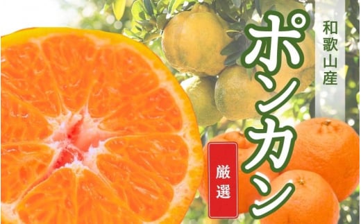 【先行予約】厳選ポンカン 2.5kg+250g(傷み補償分)<1月より発送>/  和歌山 おすすめ フルーツ くだもの 果物 みかん 柑橘類 有田みかん オレンジ ぽんかん【ikd188A】
