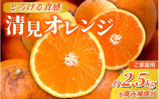 <2月より発送>家庭用 清見オレンジ 2.5kg+250g(傷み保証分)【光センサー食頃出荷】【樹上完熟きよみオレンジ・清見タンゴール・清美】【わけあり・訳あり】 / オレンジ 清見 おれんじ みかん 柑橘 有田 和歌山 産地直送  くだもの 果物 フルーツ 柑橘類 和歌山 すさみ町【ikd199B】