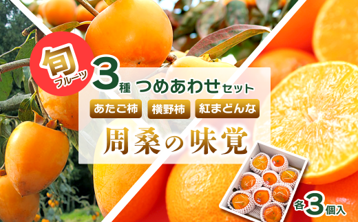 旬フルーツ 詰め合わせ 3種セット  紅まどんな & 柿 「 愛媛県西条市 周桑の味覚 」 各3個入り 【先行予約・12月発送】 周ちゃん広場 | 紅まどんな あたご柿 愛宕柿 横野柿 果物 フルーツ 食べ比べ 詰め合わせ セット ギフト 愛媛県 送料無料 お取り寄せ