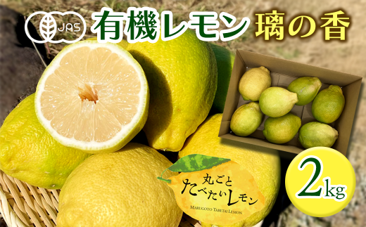 有機レモン 璃の香 2㎏ 【先行予約】2025年11月下旬~2026年1月発送 愛媛県西条市 丸ごとたべたいレモン| レモン 檸檬 有機栽培 有機JAS認証 オーガニック 防腐剤・ワックス不使用 果汁 酸味 果物 ビタミン 健康 フルーツ 国産 愛媛 西条 【オンライン決済限定】