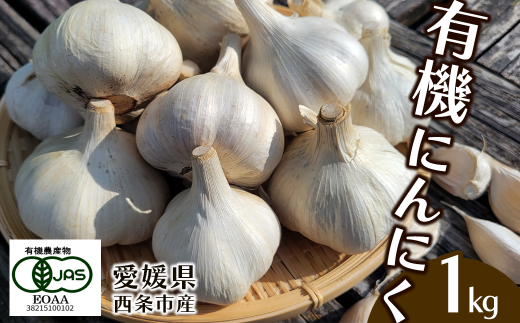 有機にんにく（乾燥） 1㎏｜ 有機JAS認証 ニンニク 乾燥にんにく ガーリック オーガニック 有機 無農薬 国産 愛媛 西条