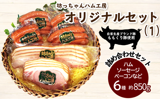 ウインナー ベーコン ハム 詰め合わせ 坊っちゃんハム工房オリジナルセット（1）6種約850g　愛媛県西条市 ｜ 国産 豚肉 加工品 ウインナー ベーコン フランク ハム おかず