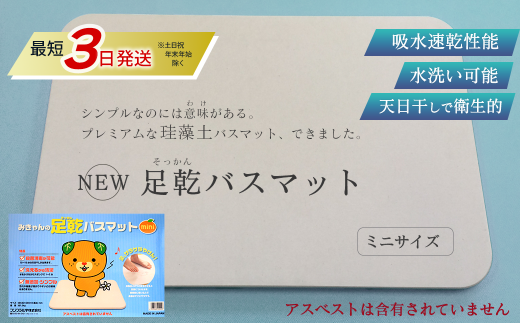 珪藻土バスマット NEW 足乾(そっかん)バスマット ミニサイズ 【最短3営業日発送】 愛媛県西条市 |  珪藻土 バスマット 足拭きマット 浴室マット バス用品 足ふきマット 吸水マット 新生活